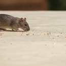 Western Pest Services - Pest Control Services