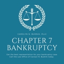 Carolyn N. Budnik, P - Bankruptcy Law Attorneys