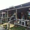 The Farmer's Daughters gallery