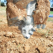 Gallery Image Number 4