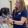 VCA Dallas Animal Specialty Hospital gallery