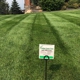 Pristine lawn care