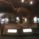 Delaware Museum of Natural History - Museums