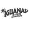 Iguanas gallery