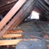 North Idaho Flood & Fire gallery