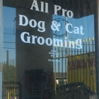 All Pro Dog & Cat Grooming
