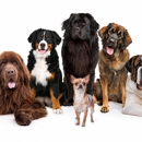 Loren's Pooper-Scooper Service - Animal Shelters
