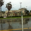 Walgreens gallery