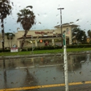 Walgreens