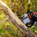 Okula Tree & Shrub Care - Tree Service
