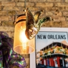 Nola Bar & Kitchen gallery