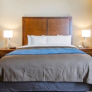 Comfort Inn & Suites Lynchburg Airport - University Area - Motels