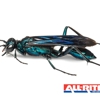 All-Rite Pest Control gallery