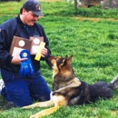 Rolling Meadows Academy of Dog Training, llc - Dog Training