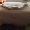 Carnival Cruise Line gallery