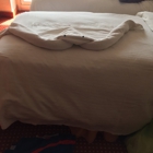 Carnival Cruise Line