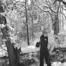 SavATree - Tree Service & Lawn Care - Tree Service