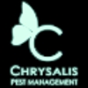 Chrysalis Pest Management gallery