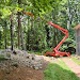 AAA Tree Experts
