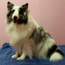 Specialty Pets Dog Grooming Spa - Pet Services