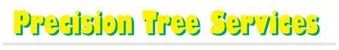 Newcastle Precision Tree Services
