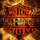Colboch Harley-Davidson - Motorcycle Dealers
