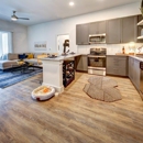 Presidium Pecan District - Real Estate Rental Service