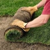 High Country Lawn and Landscape Maintenance gallery