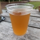 Vicious Fishes Brewery