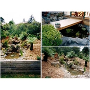 Gallery Image Number 1