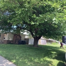 Northern Valley Tree Service