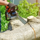 Giron's Tree Service - Tree Service