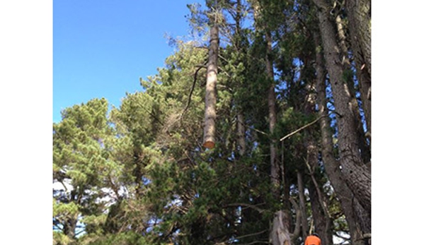 Oliver Shoemark Tree Service Pty Ltd - West Bathurst, NSW