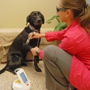 A Pet's Place Animal Hospital - Veterinarians