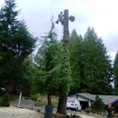 J&T Tree Services - Tree Service