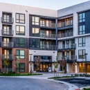 Eleanor - Apartments