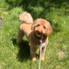 Woofie's of Columbia gallery