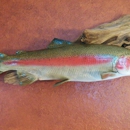 Dan's Fish Taxidermy - Taxidermists