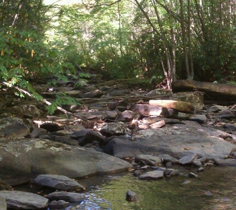 Camp Creek State Park & Forest - Camp Creek, WV