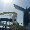 Carnival Cruise gallery