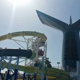 Carnival Cruise
