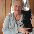Henry and Donna Evarts' Scottish Terriers