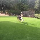 Pacific Grass & Turf Inc.