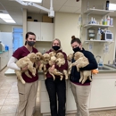 Ammon Veterinary Hospital - Veterinarians