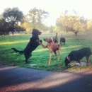 Heather Farm Dog Park - Parks