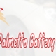 Palmetto Battery Pros