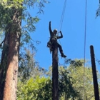 Beyond Tree Care Inc