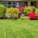 Sandovals Yard Service - Landscaping & Lawn Services