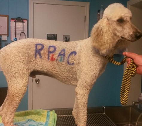 Rodney Parham Animal Clinic - Little Rock, AR