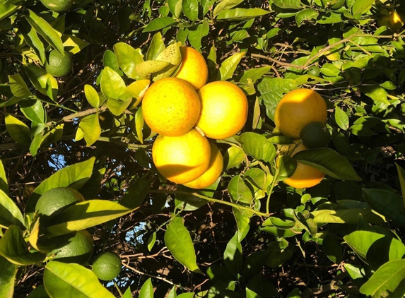 Sunzest The Organic Grower P/L - Somerton, VIC